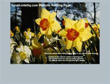 Tablet Screenshot of forum.intelliq.com